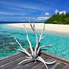 maldives information for travellers