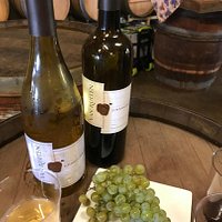 Van Ruiten Winery - the grapes and the wine!