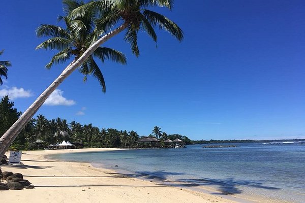 Mens Back Massage - Picture of a Touch of Samoa, Upolu - Tripadvisor