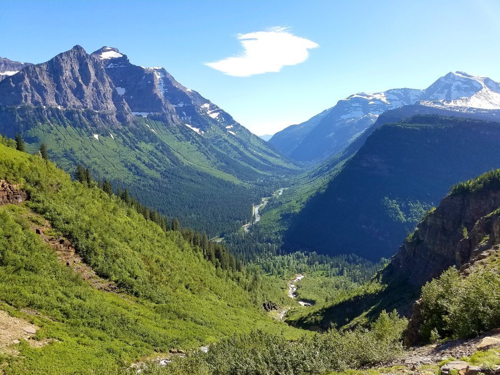 GOINGTOTHESUN ROAD (Glacier National Park) 2023 What to Know