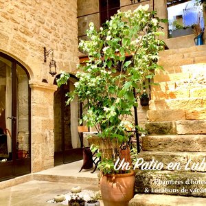 Un Patio en Luberon