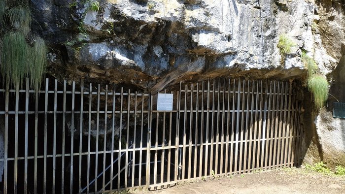 Imagen 6 de Cueva de El Pindal
