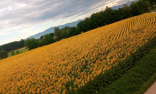 Varmo, Italien Tourismus in Varmo Tripadvisor