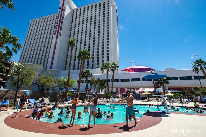 Circus Circus Hotel Las Vegas Splash Zone. Water Slides. Pool Area. Fun For  All Ages! 