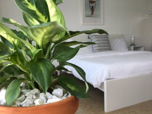 Room & Suite