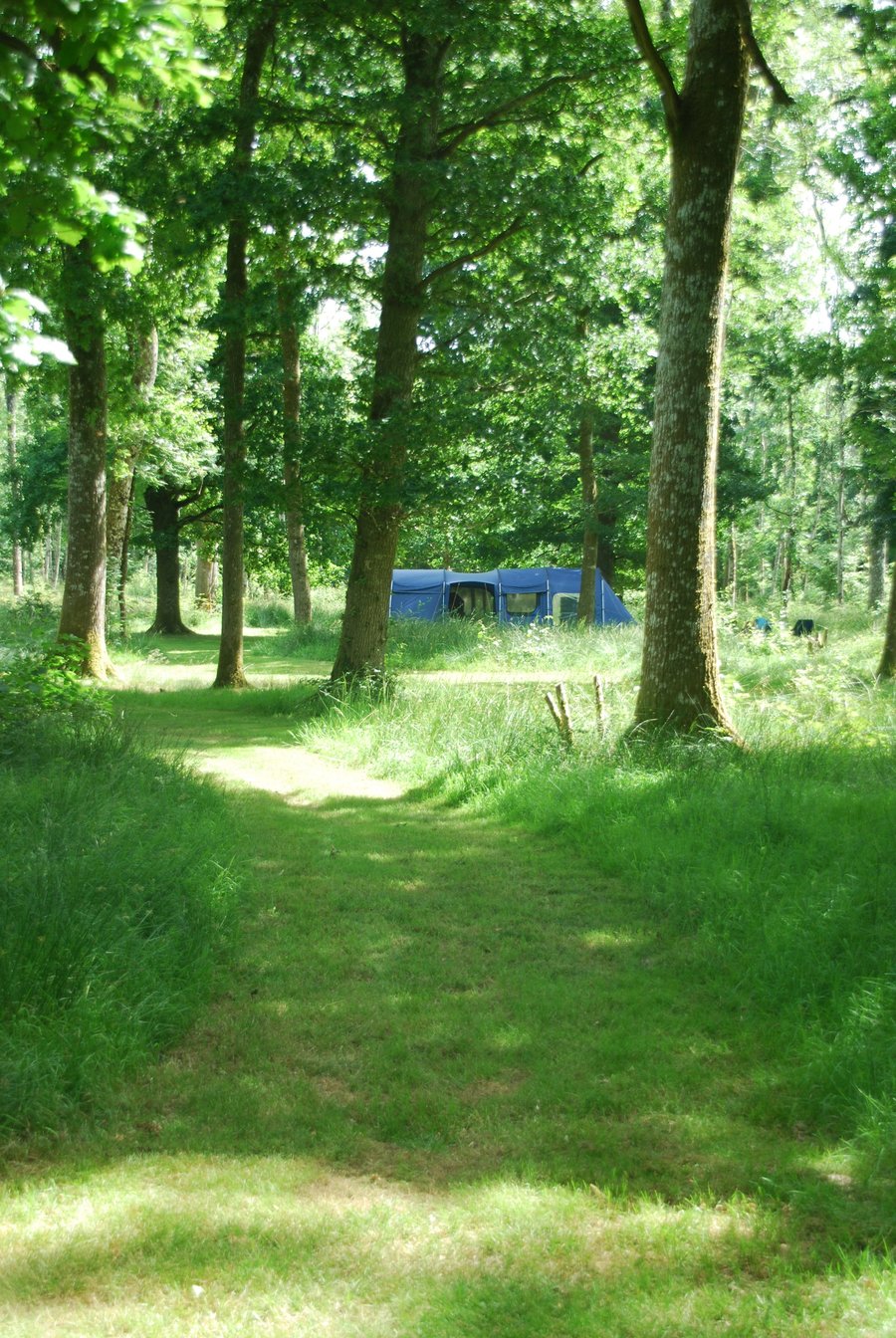 Greenfields Forest Camping Campground Reviews Photos Middlemarsh Tripadvisor