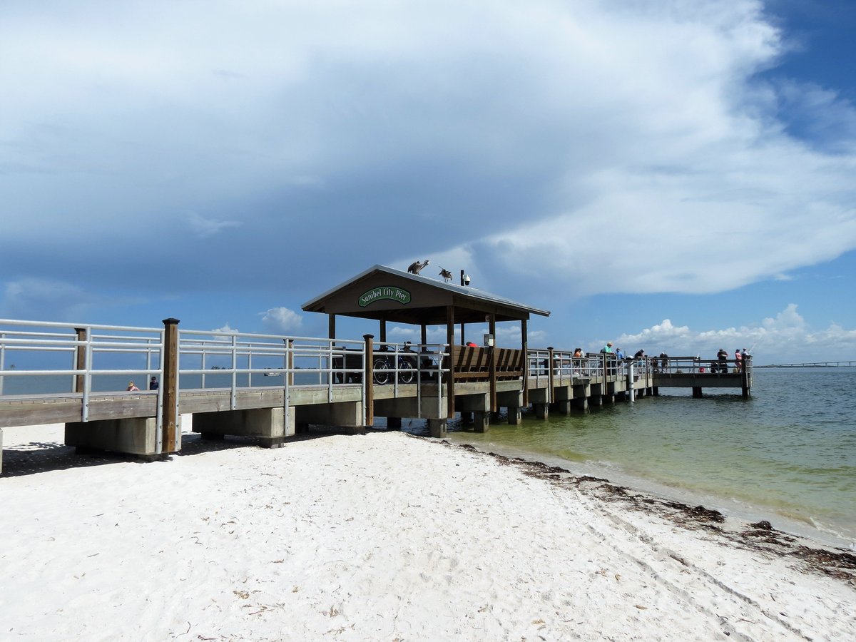 are dogs allowed on beach at sanibel island by lighthouse