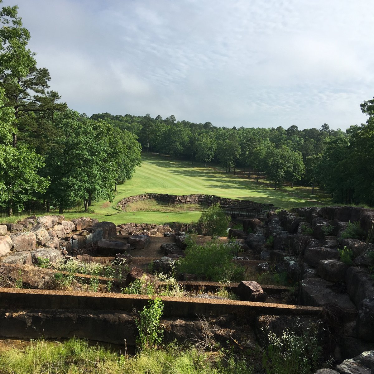 TANNENBAUM GOLF CLUB (Drasco) Ce qu'il faut savoir