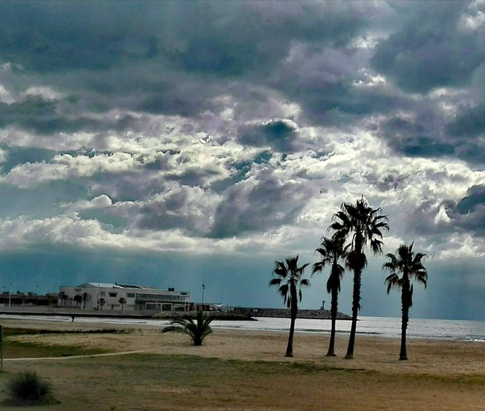 Imagen 6 de Platja de Ribes Roges