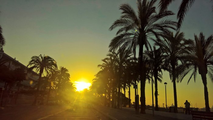 Imagen 5 de Platja de Ribes Roges