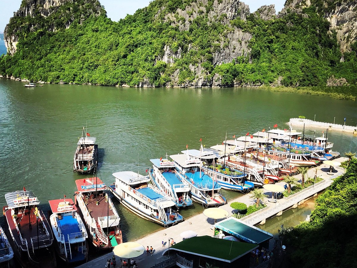 halong castaway tour