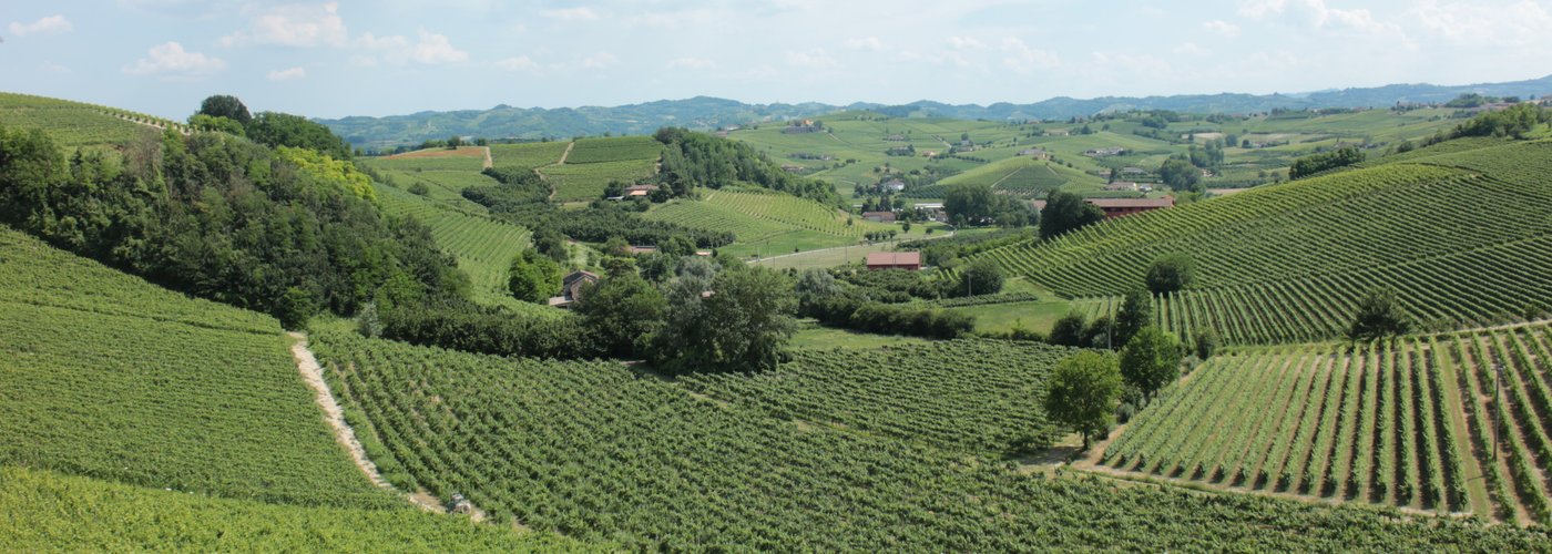 Vista dalla terrazza