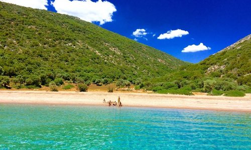 Erzincan Isi Bakir 6 Kisilik Kahve Takimi Bakir Hediyelik Kahve Bakir Taki