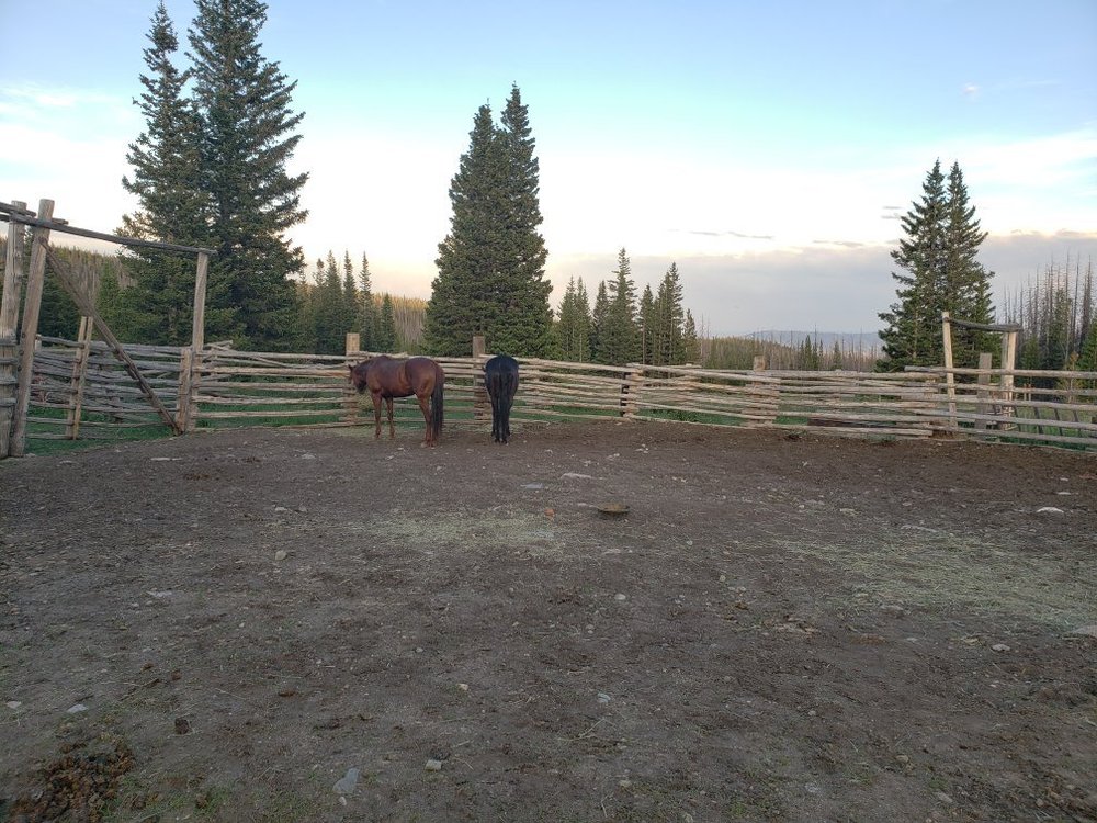 Mountain Meadow Cabins Centennial Wy Tarifs 2024