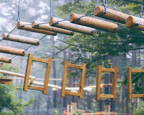 Treetops reopens at Paradise Park