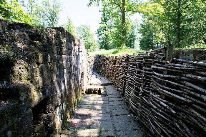 Trench system at Bayernwald
