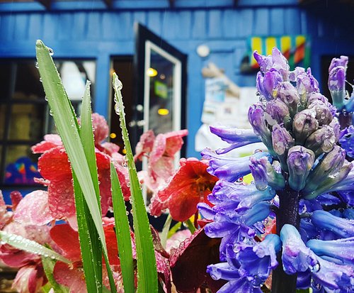 tofino tourism centre