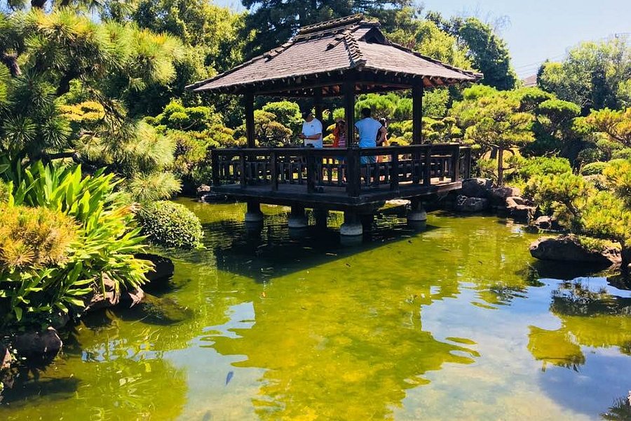 Hayward Japanese Gardens image