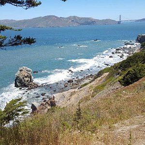 See millions of years of history while beachcombing in San Francisco