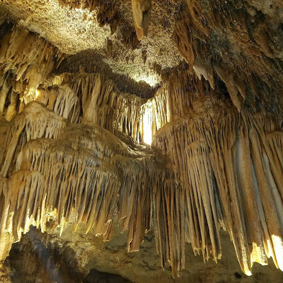 bridal cave tours