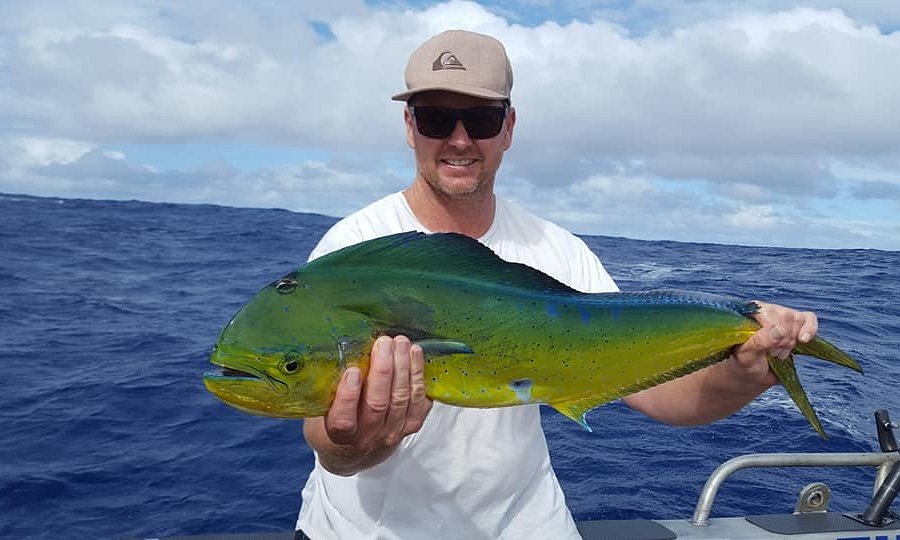 Fish Niue Charters image