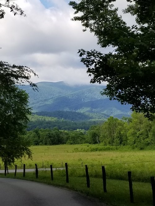 CADES COVE CAMPGROUND (Great Smoky Mountains National Park