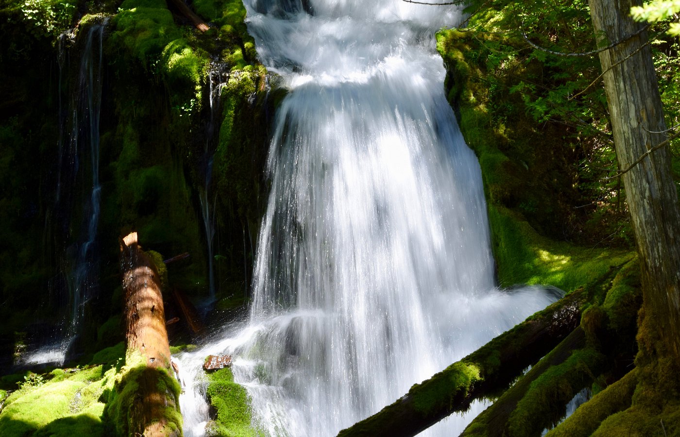 Trout Lake Tourism (2023) Best of Trout Lake, WA Tripadvisor