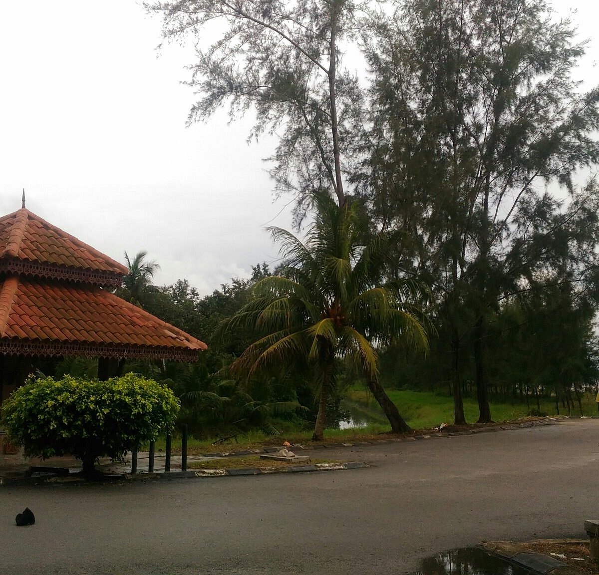 Muzium Johor Bugis Pontian Kecil Lo Que Se Debe Saber Antes De