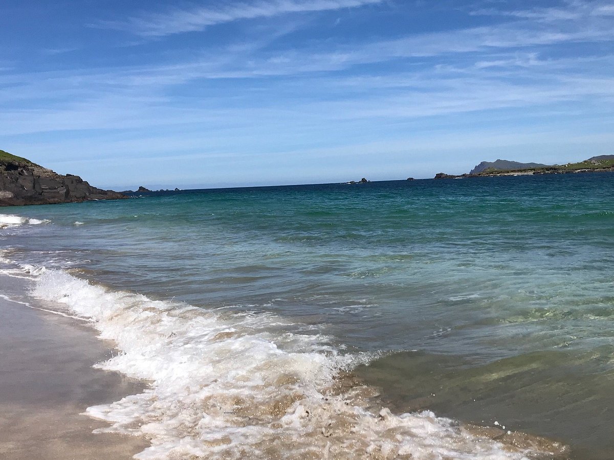 blasket islands boat trips