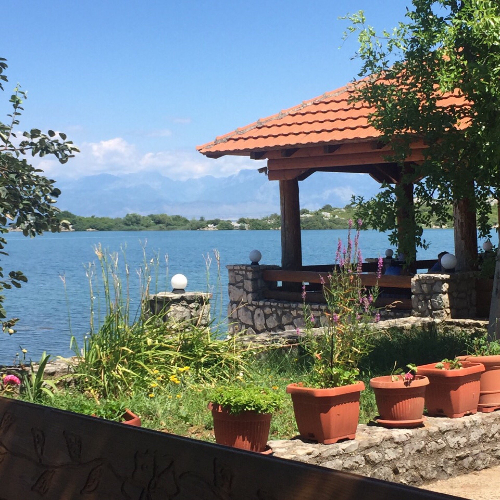 B&B SKADAR LAKE MURICI (Donji Murici, Montenegro) - Foto's En Reviews ...