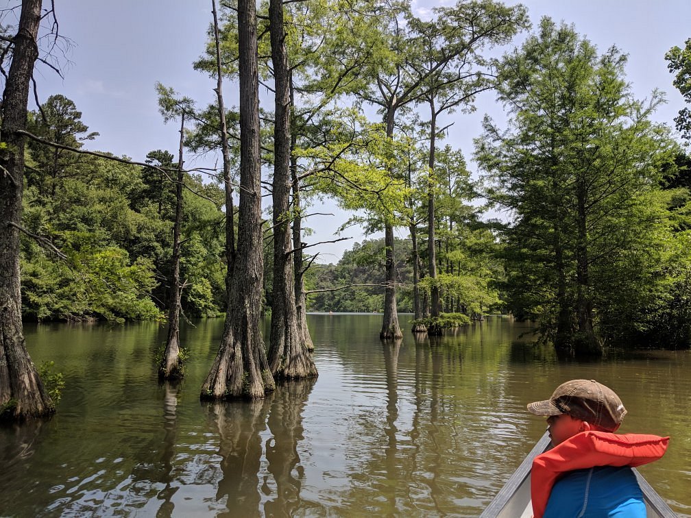 Beavers Bend River Floats - All You Need to Know BEFORE You Go (2024)