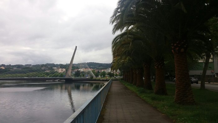 Imagen 4 de Puente de los Tirantes