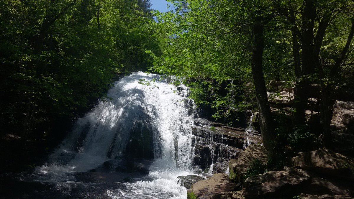 Roaring Run Falls - All You Need to Know BEFORE You Go (2024)