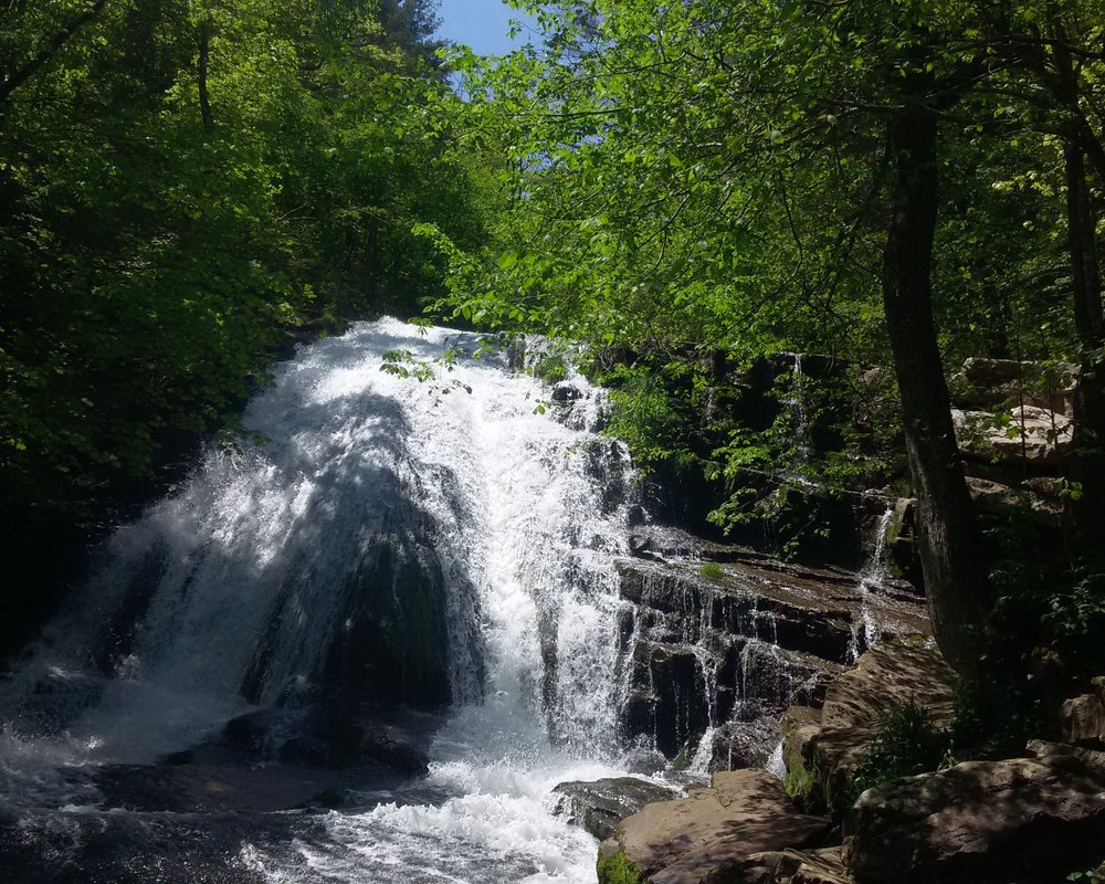 THE 10 BEST Virginia Waterfalls (Updated 2024) - Tripadvisor