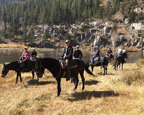 THE 10 BEST California Horseback Riding Tours (Updated 2023)