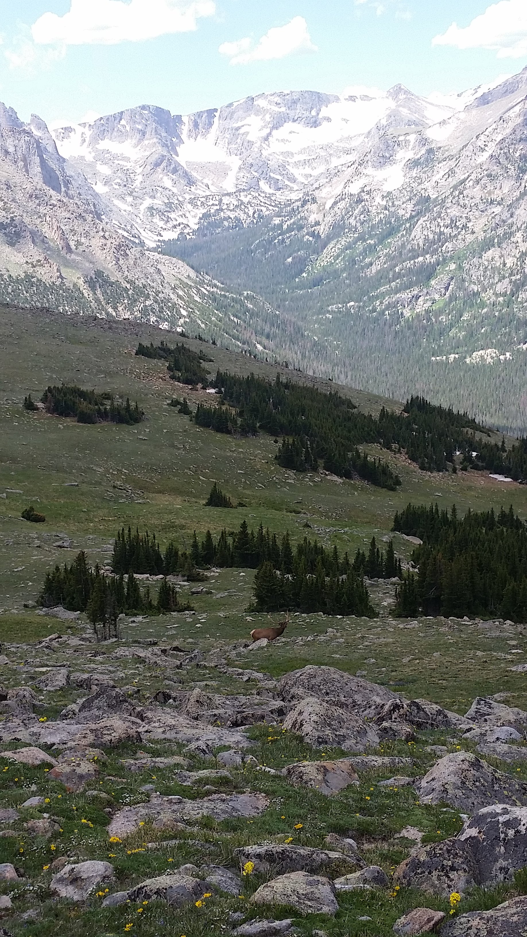 Ute Trail (Rocky Mountain National Park, โคโลราโด) - รีวิว - Tripadvisor