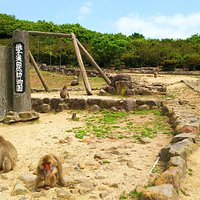 園内2