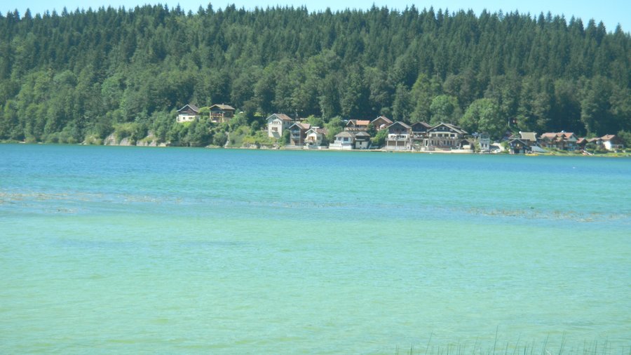 le lac saint point à proximité