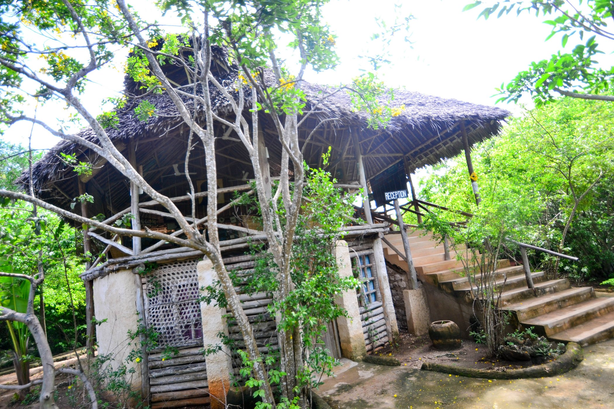 Stilts Tree Houses by null