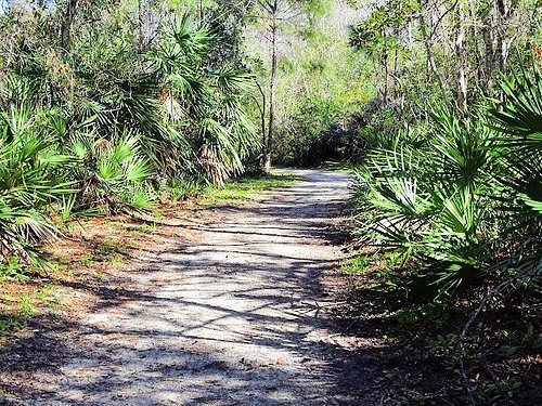 Beacon Hills Walking And Running Trail - Jacksonville, Florida, USA