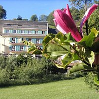 getlstd_property_photo