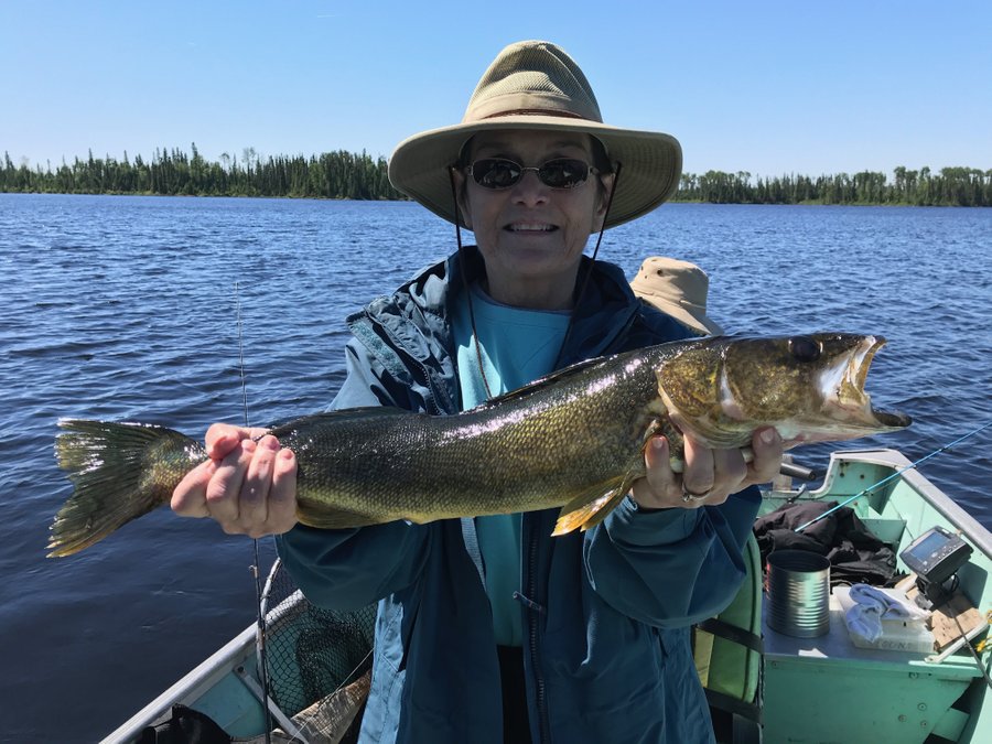 Canada North Lodge Reviews Ear Falls Ontario Tripadvisor