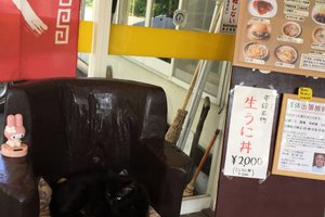 店内