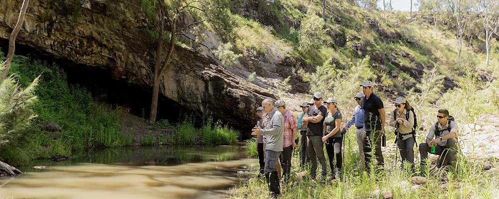 Scenic Rim Trail