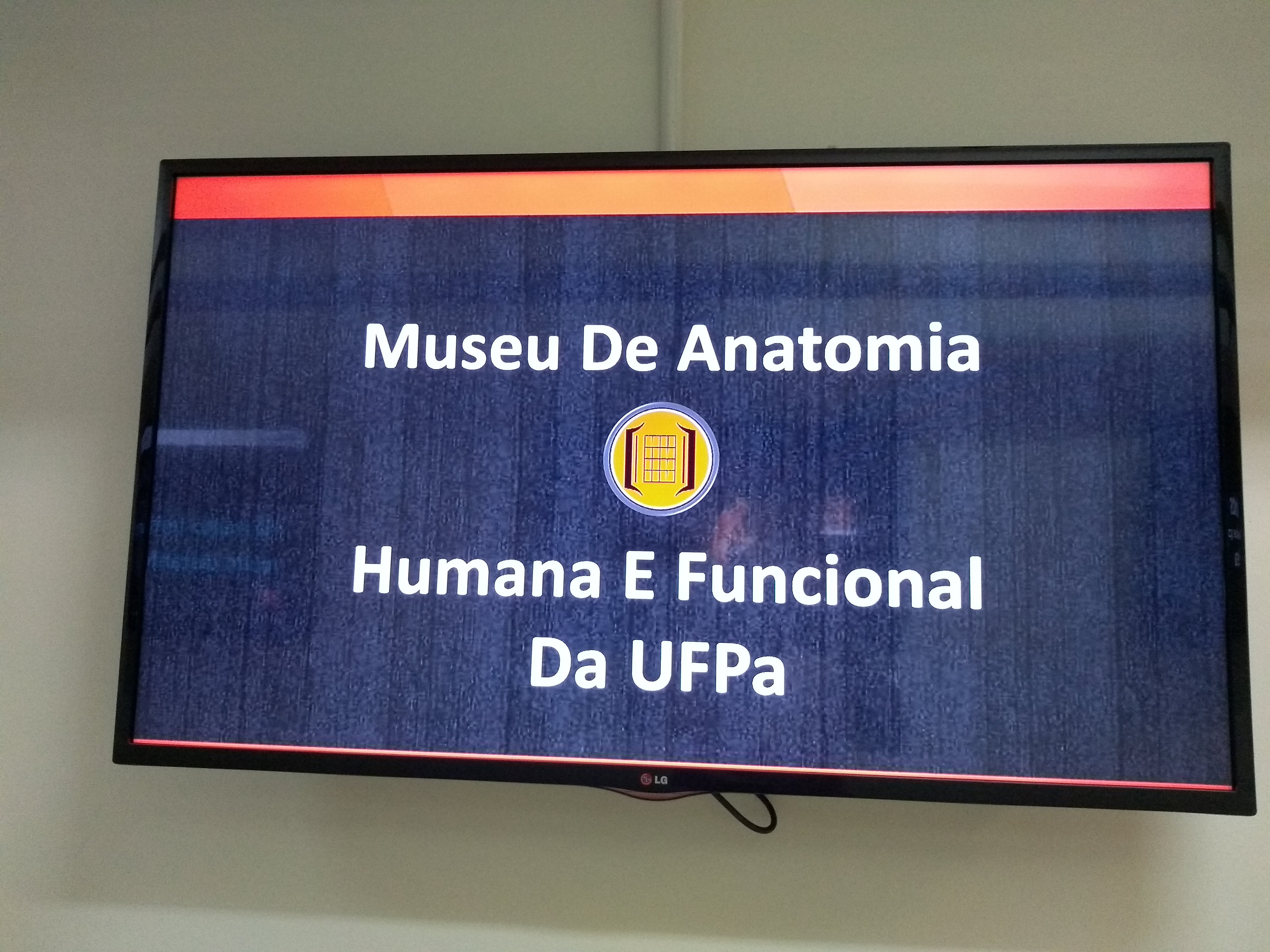 UFPA Museu De Anatomia Humana E Funcional (Belem): All You Need To Know