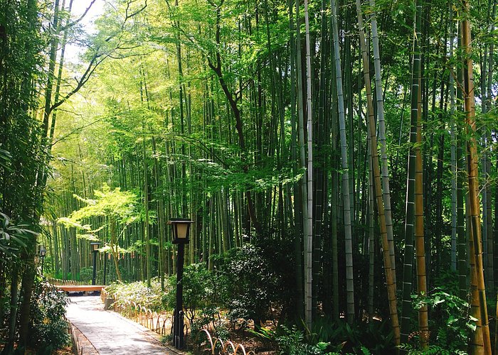 Izu, Japan 2022: Best Places to Visit - Tripadvisor