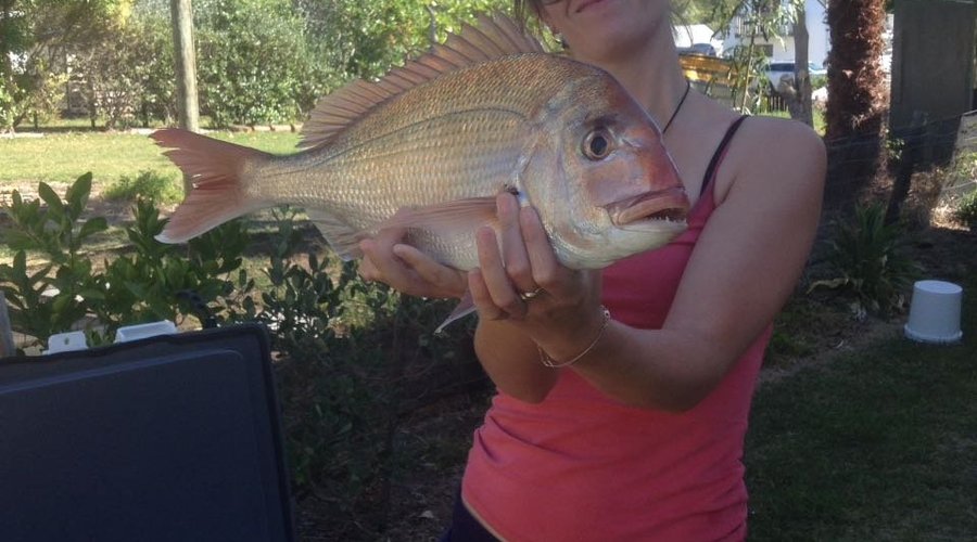 Successful dinner fishing! They said if you hold it far away from your body it looks bigger! ;)