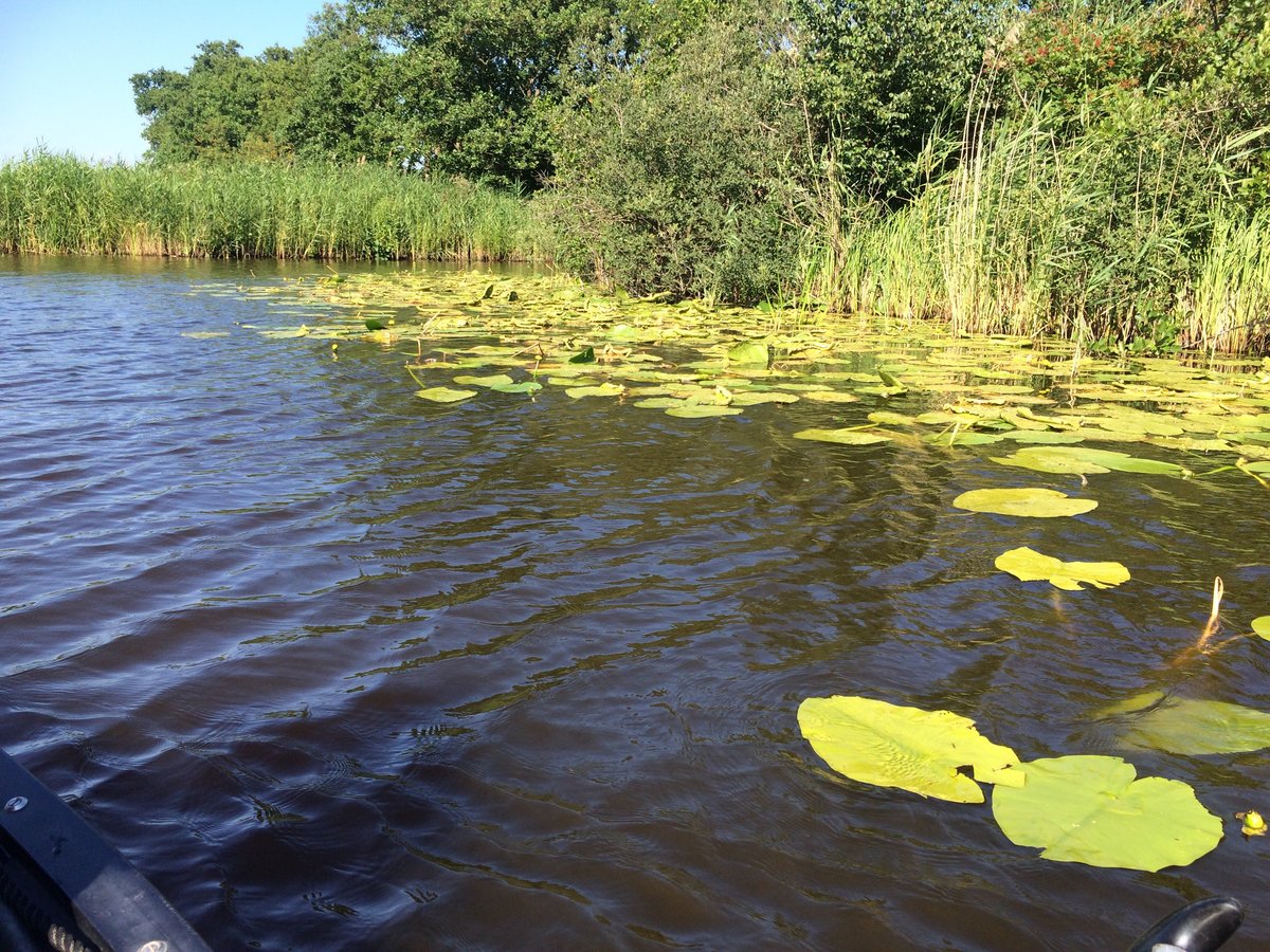 BOOTVERHUUR MANTEN (Oud-Loosdrecht) - All You Need to Know BEFORE You Go