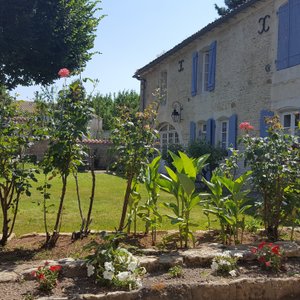 Vue d'ensemble de la maison