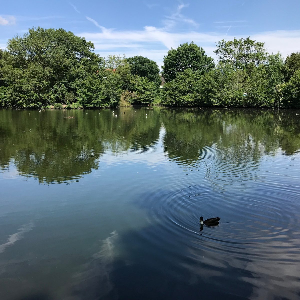 TUDOR GRANGE PARK (Solihull): Ce qu'il faut savoir pour votre visite